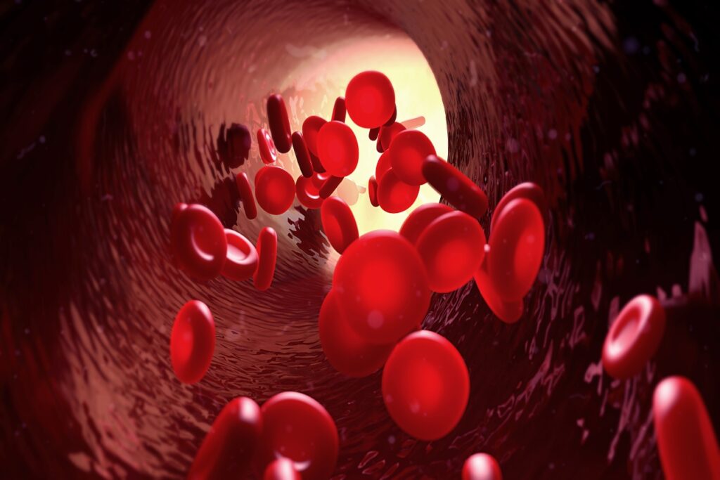 hemoglobina scazuta, celulele rosii ale sangelui
