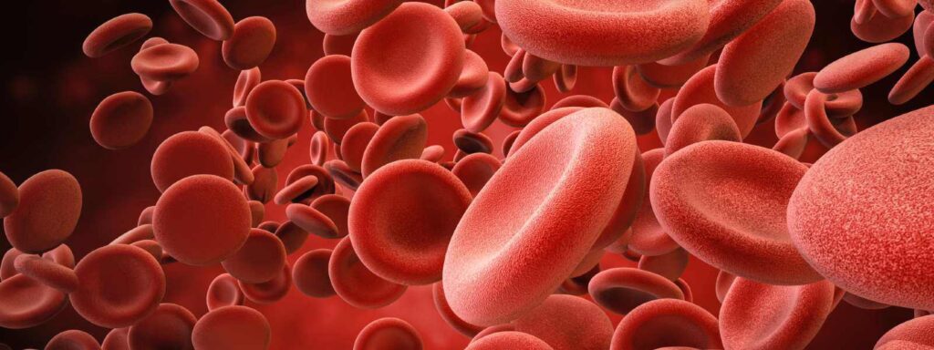 sange globule rosii