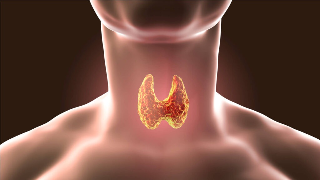 Glanda tiroidă